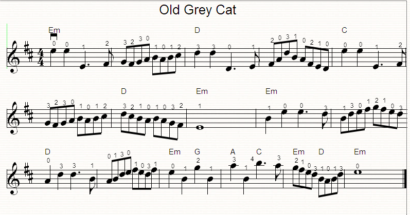 Old Grey Cat